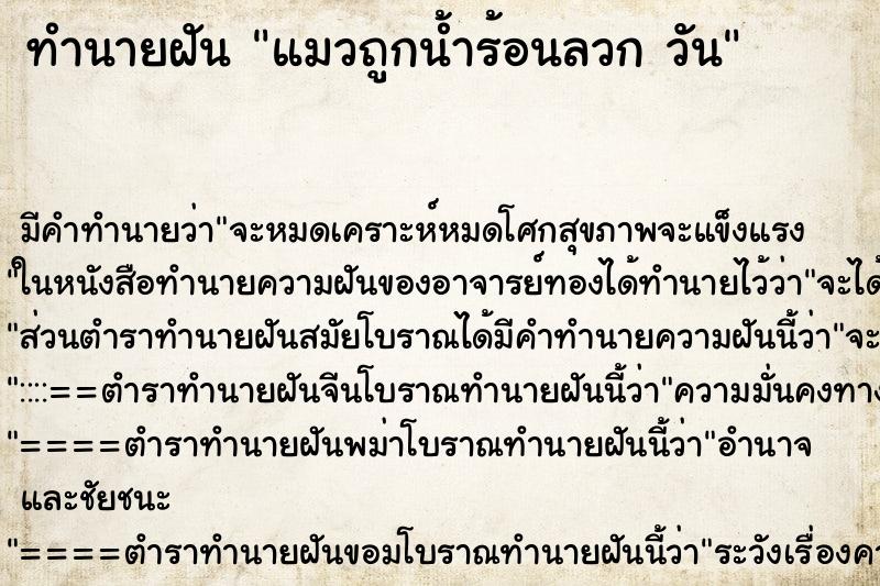 ทำนายฝัน แมวถูกน้ำร้อนลวก วัน ทำนายฝัน แมวถูกน้ำร้อนลวก วัน